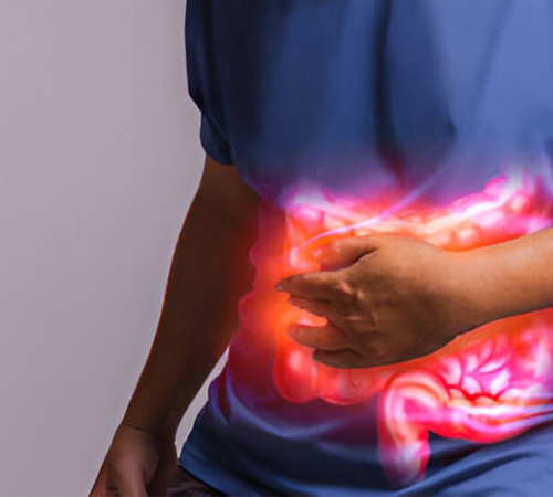 gut-health